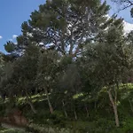 Casa Mare E Monti Entre Et Montagne à Erbalunga (Corsica)