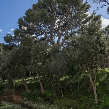 Casa Mare E Monti Entre Et Montagne à Erbalunga (Corsica)