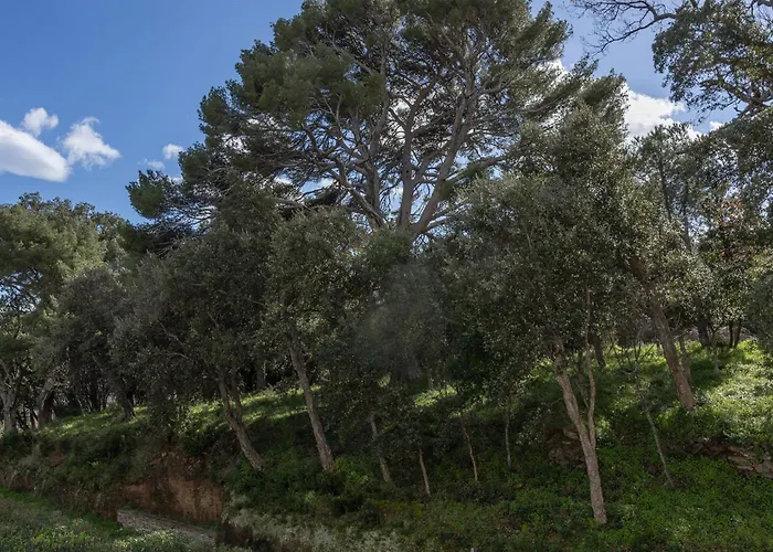 Casa Mare E Monti Entre Et Montagne A Erbalunga (Corsica)